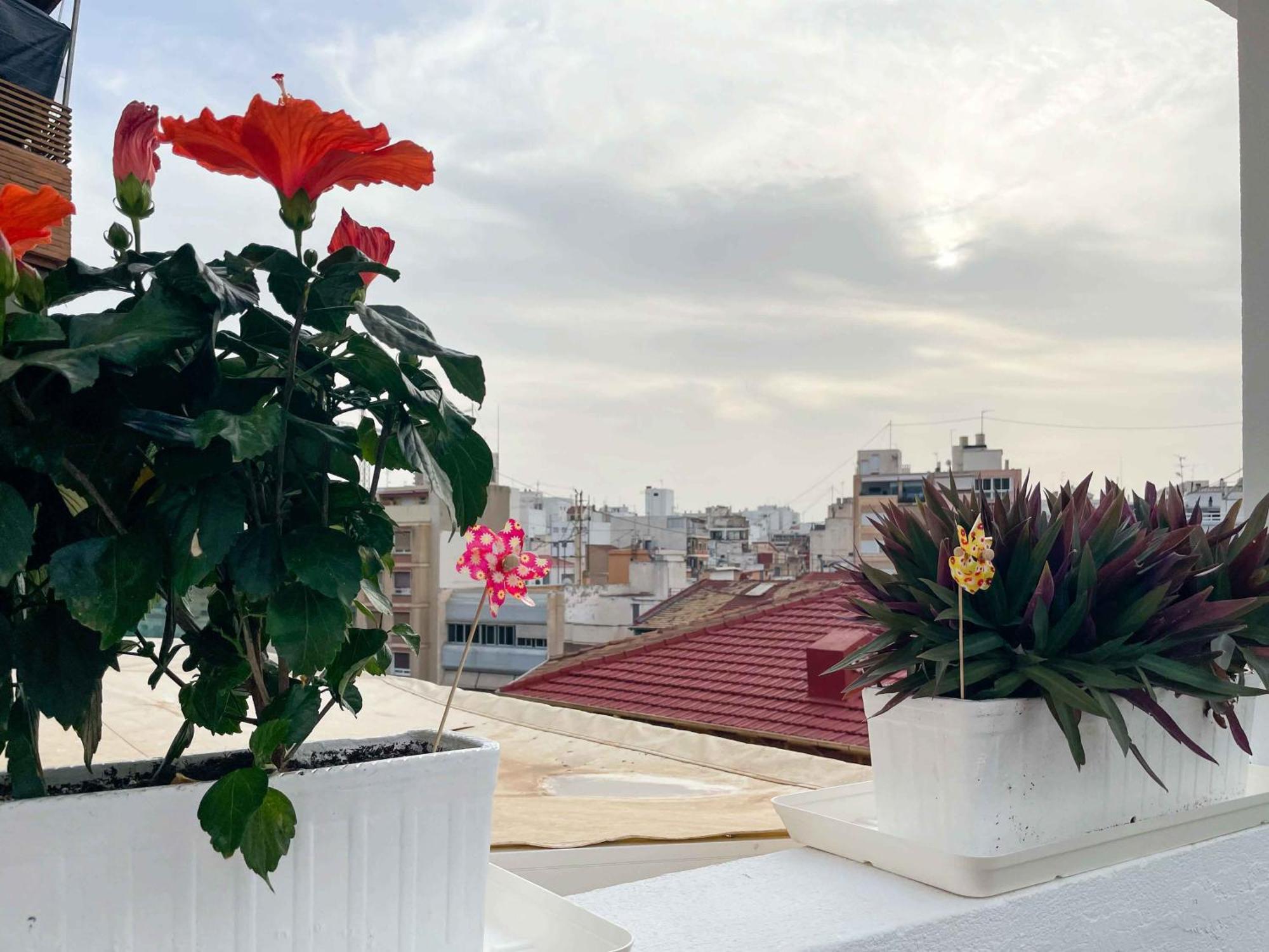 El Atico Del Mercado. Un Lugar Dificil De Olvidar. Alicante Ngoại thất bức ảnh